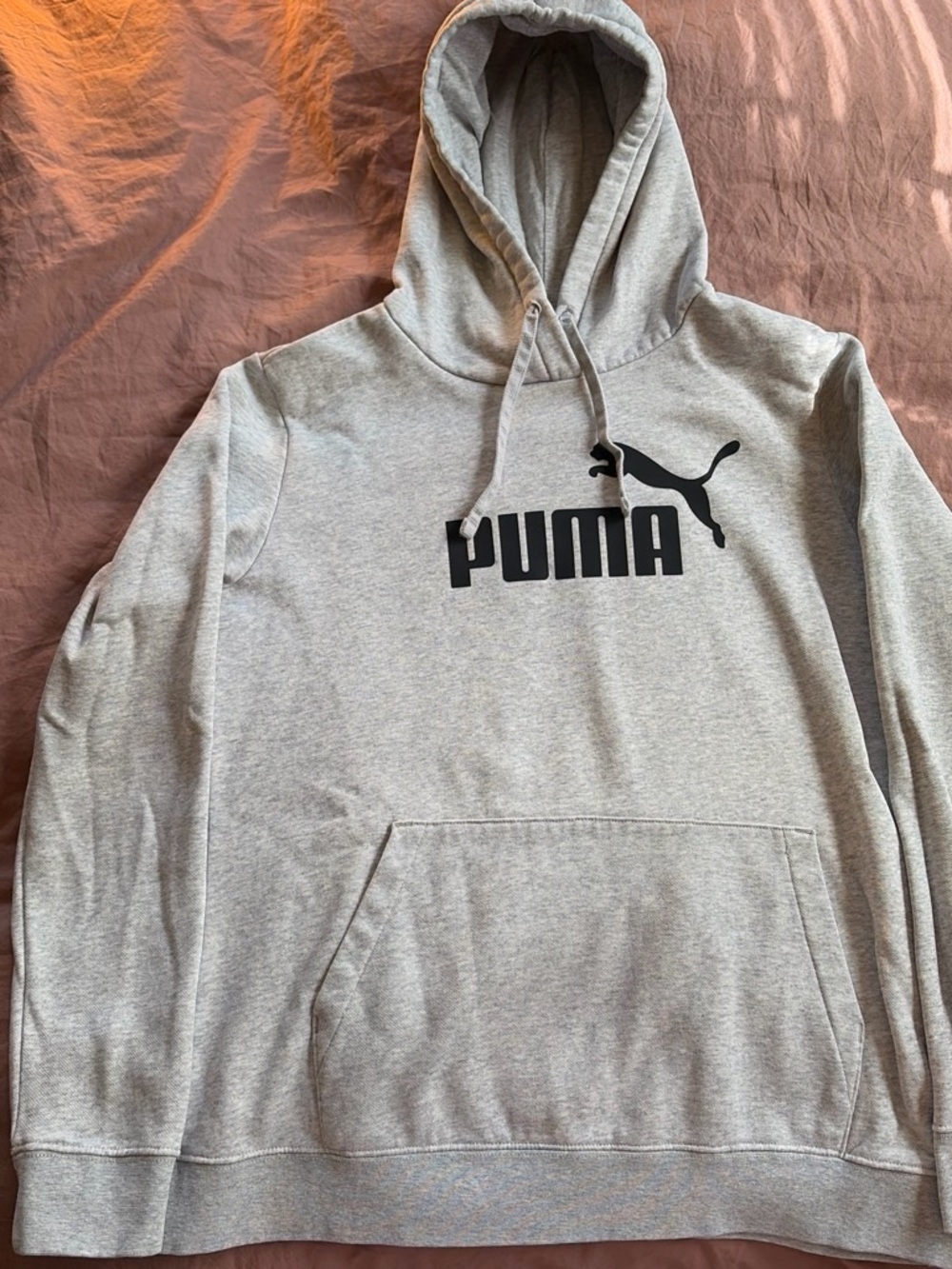 Puma Light Gray Hoodie with Black Logo